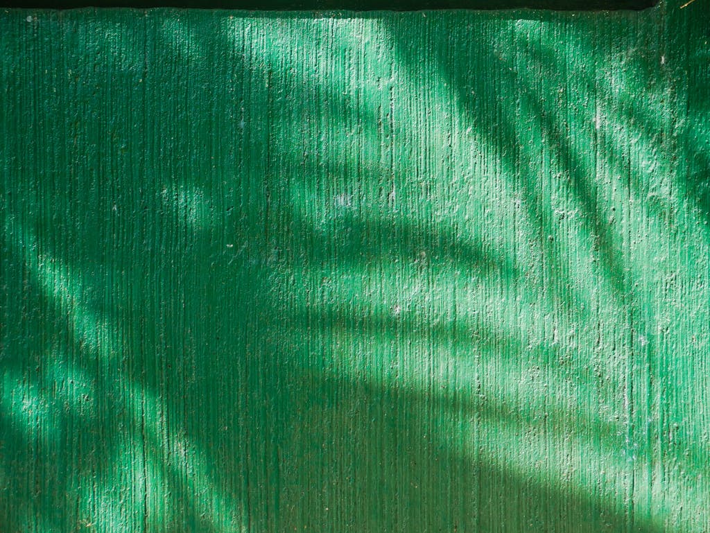 Textured green wall with intriguing shadows, creating a play of light and texture.